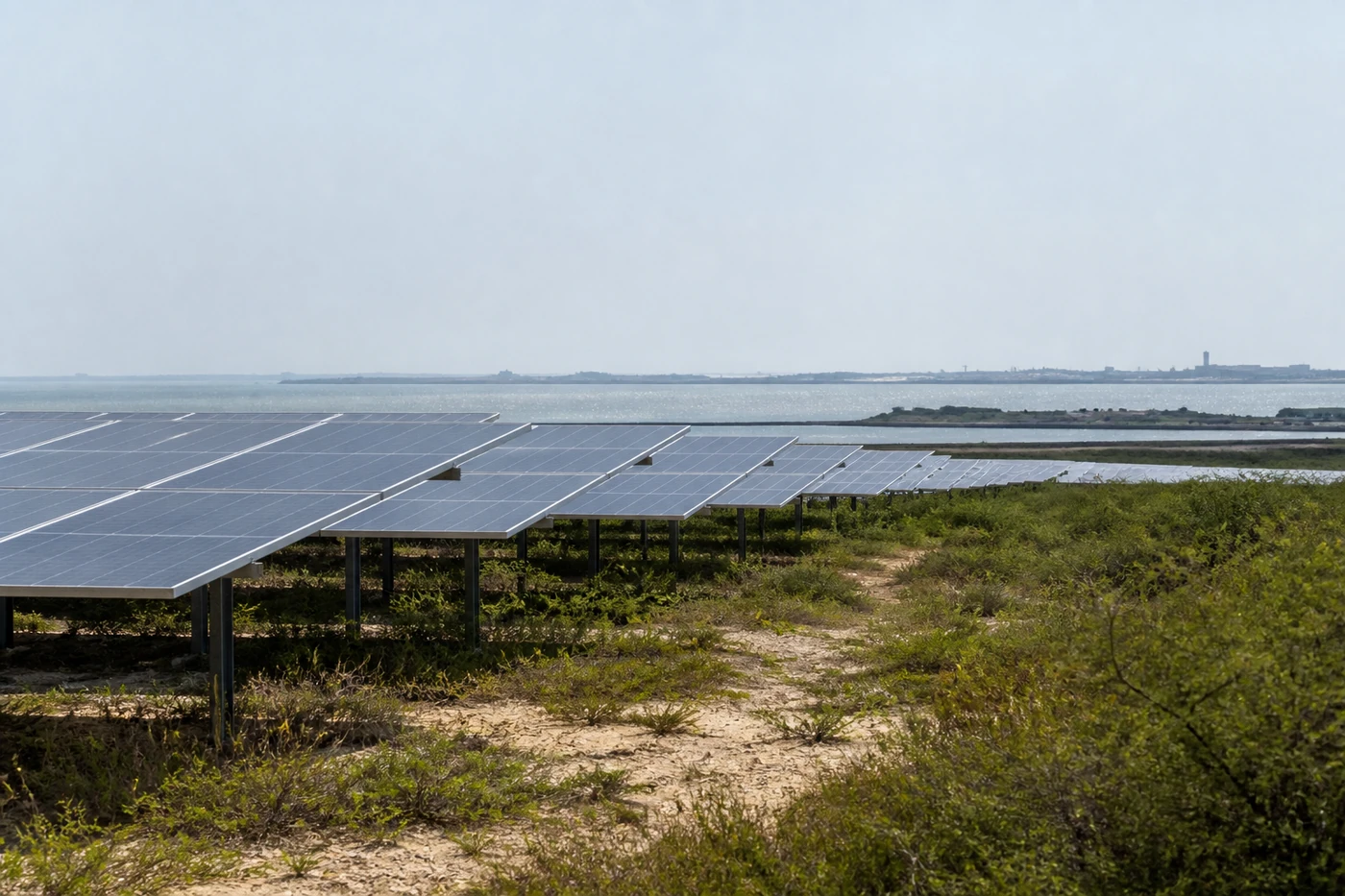 Solar Plant — Bhogat