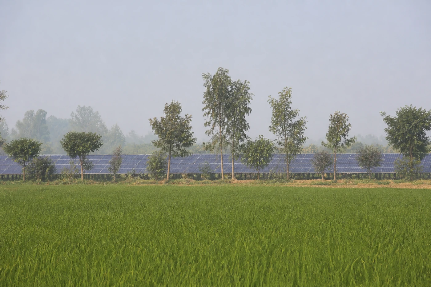 Solar Plant — Haryana